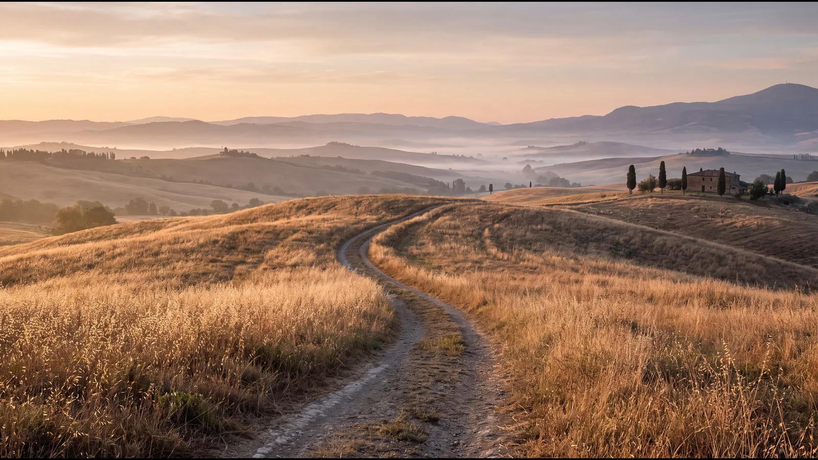 Feldweg durch weite Hügel im Morgendunst